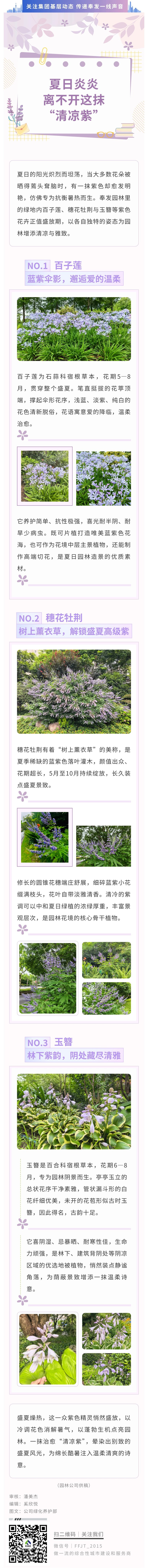 夏日炎炎，离不开这抹“清凉紫”